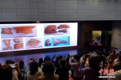 中国考古博物馆举办中国